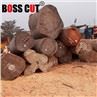 Band Saw Blade Forest